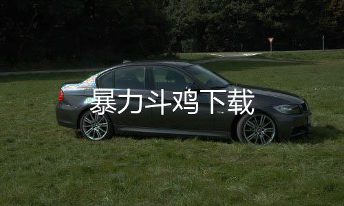 暴力斗鸡下载