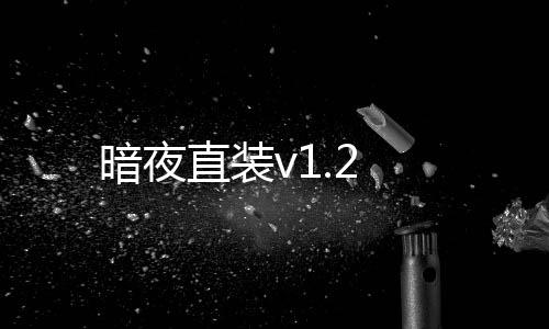 暗夜直装v1.2