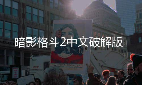 暗影格斗2中文破解版