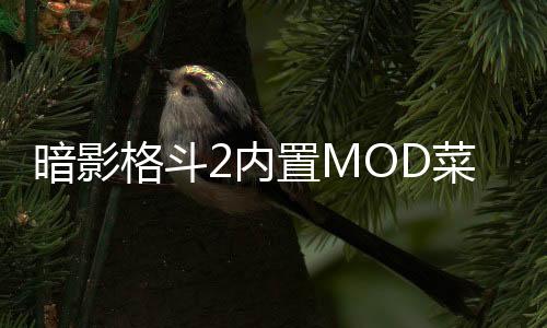 暗影格斗2内置MOD菜单破解版