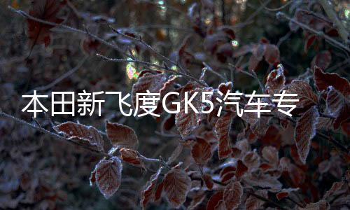本田新飞度GK5汽车专用中控仪表台防晒遮光避光垫内饰改装饰配件