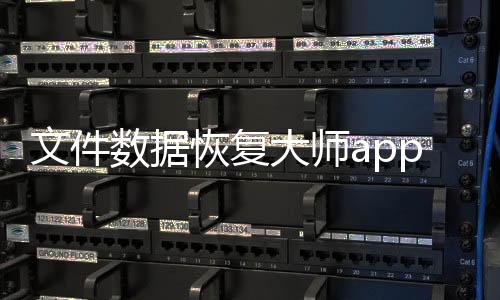 文件数据恢复大师app 1.1.0