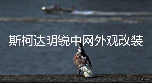 斯柯达明锐中网外观改装配件昊锐汽车前脸保险杠专用装饰条晶锐