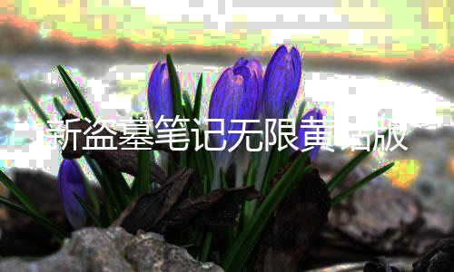 新盗墓笔记无限黄钻版