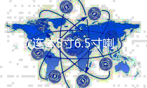 新款连体5寸6.5寸喇叭空箱 二分频音箱低音炮汽车喇叭木箱试音箱