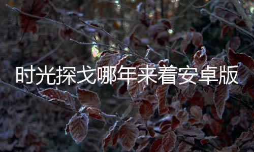 时光探戈哪年来着安卓版