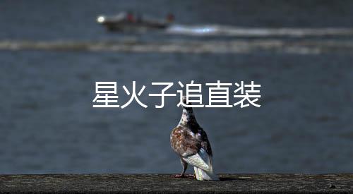 星火子追直装