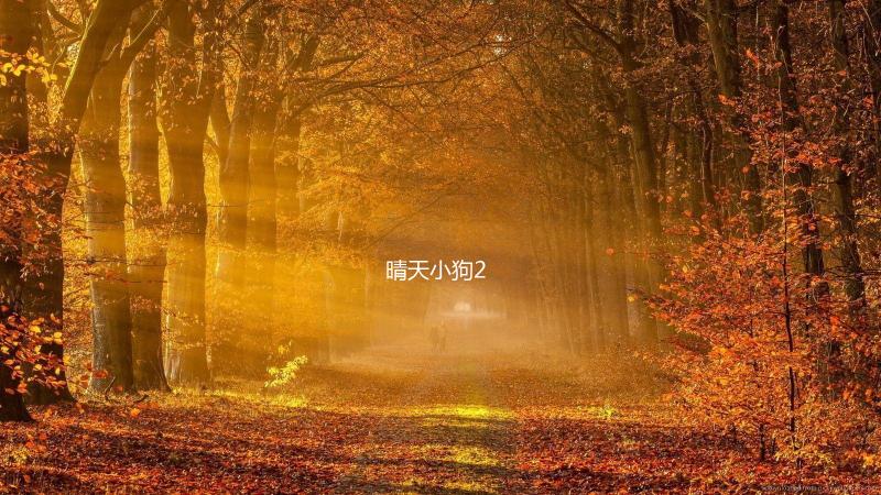 晴天小狗2