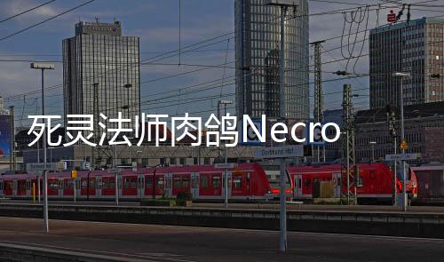 死灵法师肉鸽Necro : Roguelike RPG