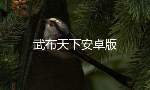武布天下安卓版