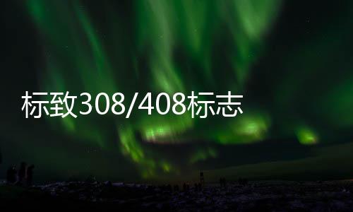 标致308/408标志2008/3008/307/301改装饰汽车配件门槛条迎宾踏板