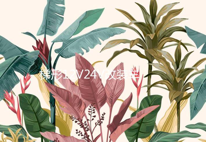 梯形12V24V改装车载货车音响插卡无线蓝牙音箱220V家用汽车低音炮