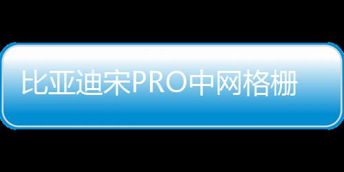 比亚迪宋PRO中网格栅外观改装件宋PLUS爆改前脸专用装饰亮条配件