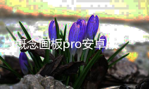 概念画板pro安卓版
