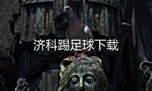 济科踢足球下载