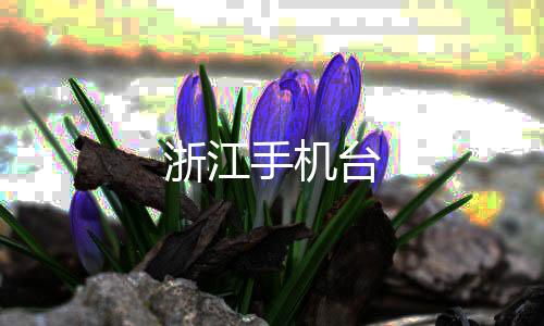 浙江手机台