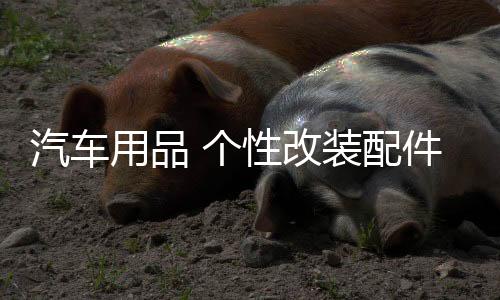 汽车用品 个性改装配件通用车标装饰 3D立体金属创意中国吉祥龙标