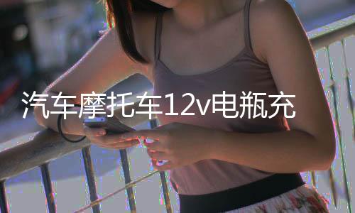 汽车摩托车12v电瓶充电器家用小轿车蓄电池地摊万能冲快速通用型