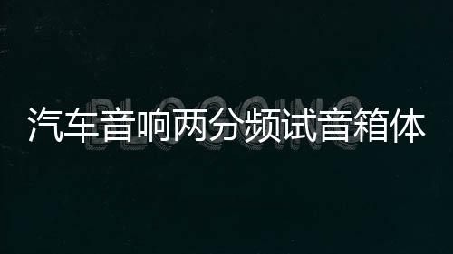 汽车音响两分频试音箱体试音柜 6.5寸书架箱无源空箱木箱展示通用