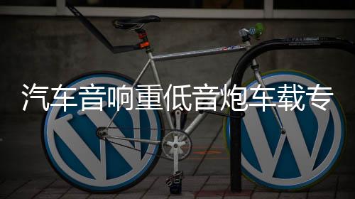 汽车音响重低音炮车载专用有源改装自带功放超薄低音炮座位下12V