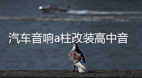 汽车音响a柱改装高中音磨具三分频倒模支架喇叭底座二分频a柱支架