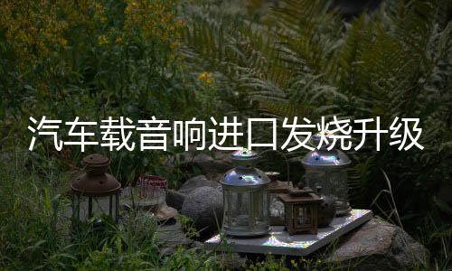 汽车载音响进口发烧升级纯丝膜小高音头球形仔改装喇叭扬声器一对