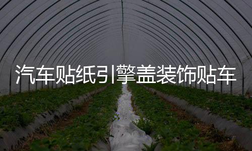 汽车贴纸引擎盖装饰贴车门车头盖刮痕遮划痕贴机盖贴个性改装拉花