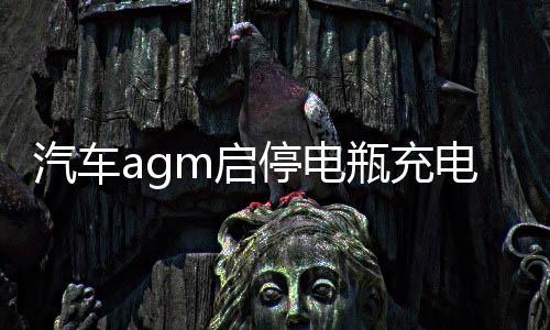 汽车agm启停电瓶充电器12v24v大功率全自动智能通用摩托车蓄电池