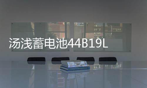 汤浅蓄电池44B19L飞度锋范1.5L思迪理念哥瑞雨燕奥拓原装汽车电瓶