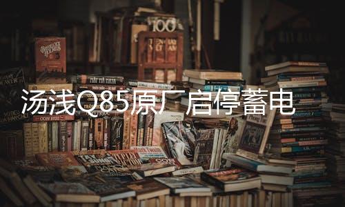 汤浅Q85原厂启停蓄电池适配丰田卡罗拉/致炫雷凌1.2T原装汽车电瓶