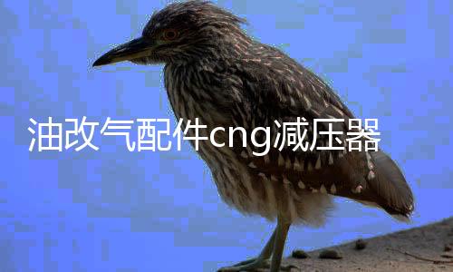 油改气配件cng减压器单点减压阀洛瓦托减压器汽车天然气配件改装