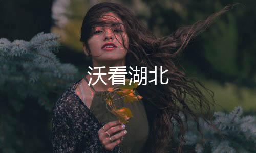 沃看湖北