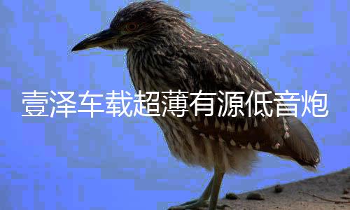 壹泽车载超薄有源低音炮重低音汽车改装音响专用座椅10寸蓝牙音箱