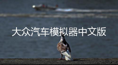 大众汽车模拟器中文版