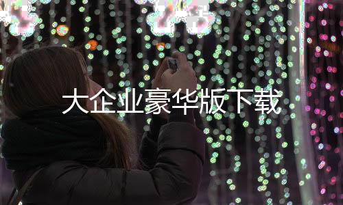 大企业豪华版下载