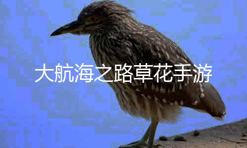 大航海之路草花手游