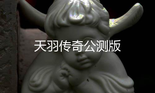 天羽传奇公测版