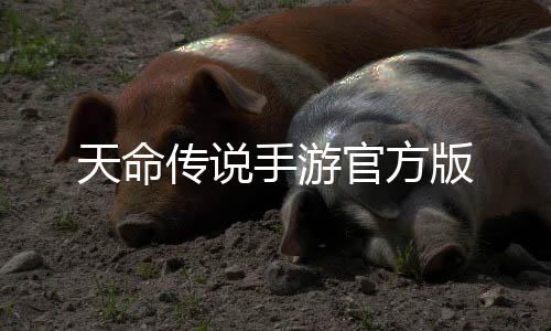 天命传说手游官方版