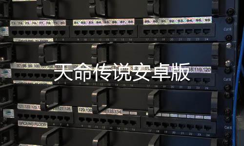 天命传说安卓版