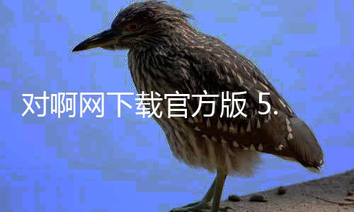 对啊网下载官方版 5.10.3