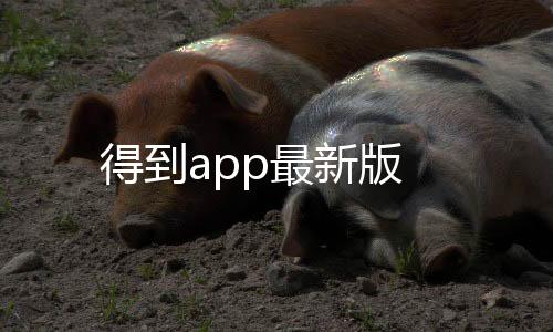ProKnockout智能抠图P图软件
