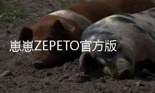 崽崽ZEPETO官方版