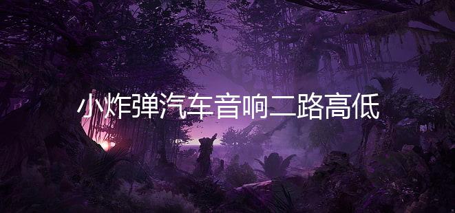 小炸弹汽车音响二路高低电平功放车载2声道功放大功率推低音套装