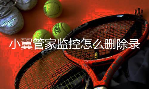 小翼管家监控怎么删除录像 具体操作方法介绍