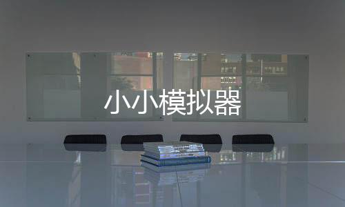 小小模拟器