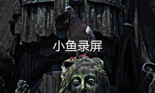 小鱼录屏