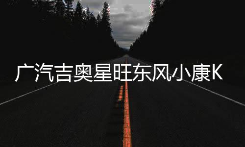 广汽吉奥星旺东风小康K17/K07S/C37面包车汽车电瓶45AH12V蓄电池