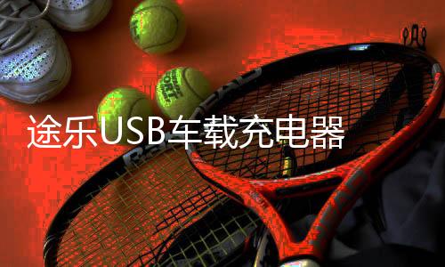途乐USB车载充电器 涂乐快充USB接口改装配件车载USB充电口