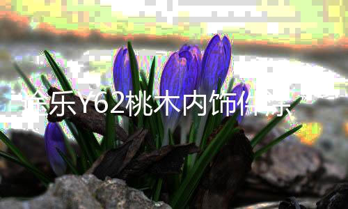 途乐Y62桃木内饰件涂乐方向盘亮片功能按键装饰贴片改装专用配件