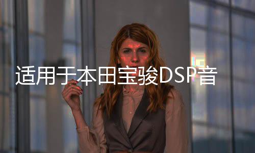 适用于本田宝骏DSP音频处理器大功率车载汽车功放无损音响改装510